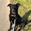FIETE sucht ein neues Zuhause