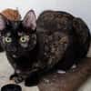 JESSY - kleine Seele die still leidet!