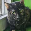 JESSY - kleine Seele die still leidet!