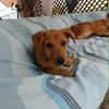 Milo le beau gosse