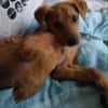 Milo le beau gosse