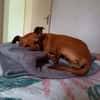 Roxy la mamie coquine
