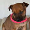 DORA(Maria)
