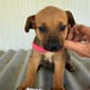 DINA (Maria)