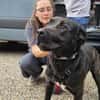 Nox sucht sein Zuhause