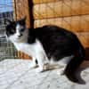 Entspannte Viona sucht ruhiges Zuhause