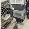 Flugpaten für Hunde und Katzen gesucht