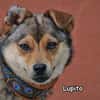 LUPITO