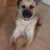 Sanfte,katzenliebe ♥Karla♥ 51503 Rösrath