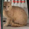 Salome und Röschen