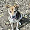 Ronja, eine Lady auf der Suche