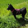 🐾 Winni sucht sein Zuhause 🐾
