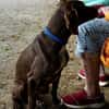 Asia, freundlich, lernwillig, offen