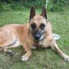 🆘RUBY in 91616 Neusitz ‼🆘‼