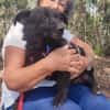 Pumba ❤Senior wartet in 79271 St. Peter