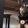 Tamina sucht eine liebevolle Familie