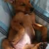 MILO le beau gosse