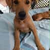MILO le beau gosse