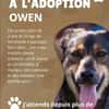 Owen