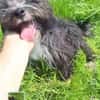 Pufy