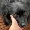 Klein♥Daisy♥ erwartet dich 01640 Coswig