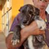 Nano sucht passende Familie
