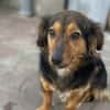 Liesel💕wartet in 67308 Ottersheim