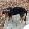 Liesel💕wartet in 67308 Ottersheim