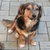 Liesel💕wartet in 67308 Ottersheim