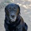 Zenon sucht neue Familie