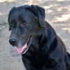 Zenon sucht neue Familie