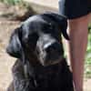 Margot sucht engen Familienanschluss