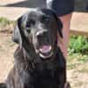 Margot sucht engen Familienanschluss