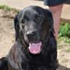 Margot sucht engen Familienanschluss