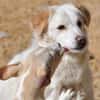 April sucht passendes Zuhause