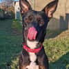 XENA