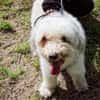 PORTOS (réservé)