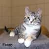 Fanny & Falko aus Falkenhagen
