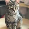 Dina u. Daisy suchen liebevolles Zuhause