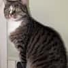 Sid sucht ein liebevolles Zuhause