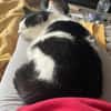 Unser Wunder Agata sucht liebes Home