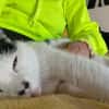 Unser Wunder Agata sucht liebes Home