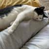Unser Wunder Agata sucht liebes Home