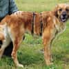 Lulu sucht engen Familienanschluss