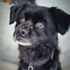 Casimiro sucht sein Zuhause