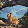 🐾 Bella 🐾 sucht dringend ihr Zuhause