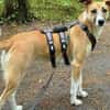 Aktive und sportliche Ellie