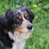 Missy (réservée)