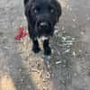 Tuti