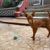 ALDO (Martina)
